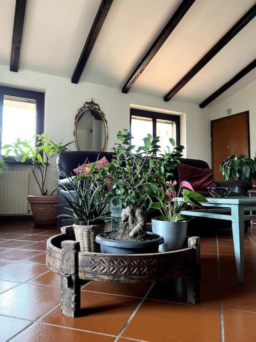 Apartment In Villa La Carruba Rivergaro Eksteriør bilde